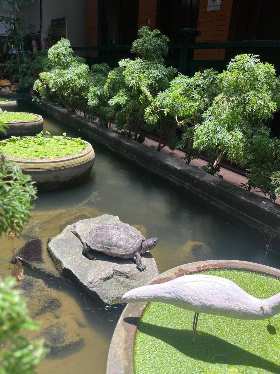 Jasmine Lodge Siem Reap Luaran gambar